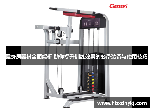 健身房器材全面解析 助你提升训练效果的必备装备与使用技巧