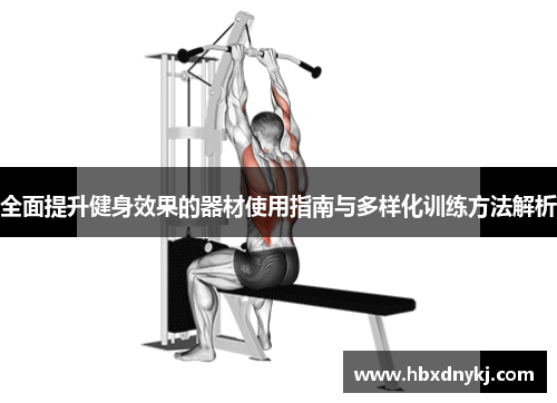 全面提升健身效果的器材使用指南与多样化训练方法解析