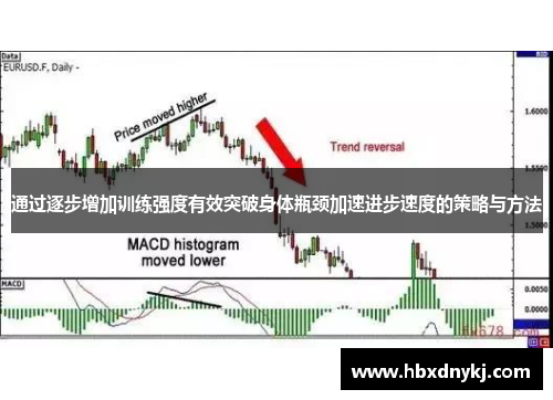 通过逐步增加训练强度有效突破身体瓶颈加速进步速度的策略与方法