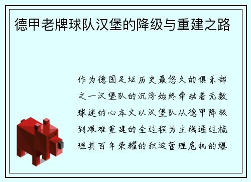 德甲老牌球队汉堡的降级与重建之路